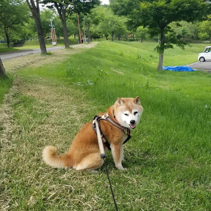 42272f1e 3fb8 4845 a4cb d96e27cdb8ce 1748505744252