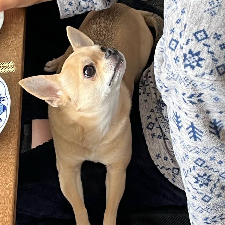 4227303c 1b6b 4abd b080 05a3b3490751 1647780164903