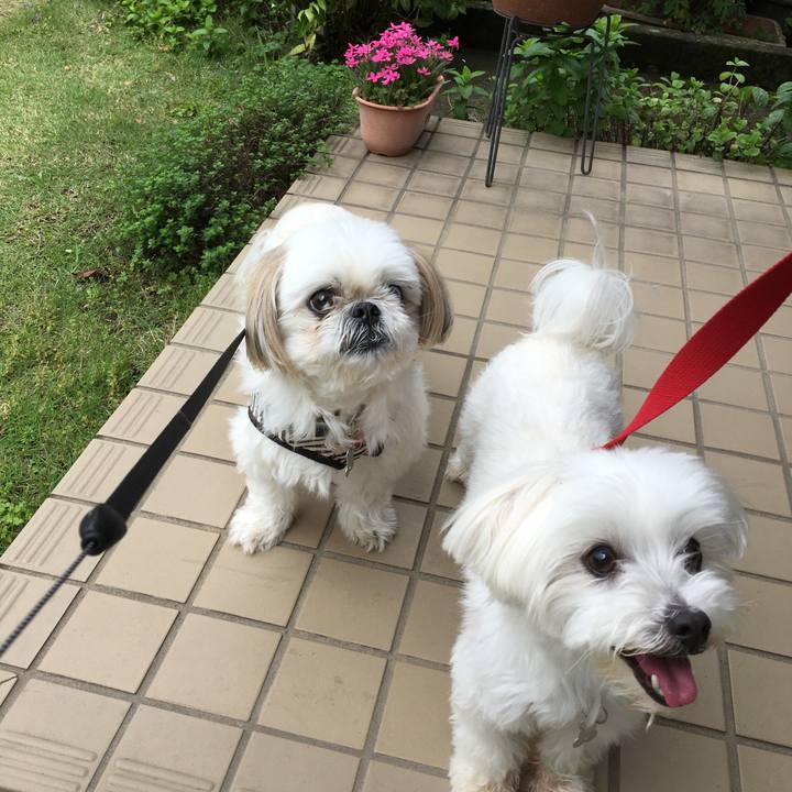 4227912e 2a4a 49a5 b829 3ce0916c69a0 1590205195734