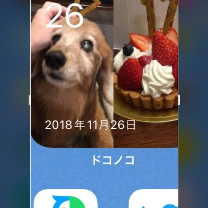 4227c36d d521 4026 907b 442e4304d2d6 1637905040573