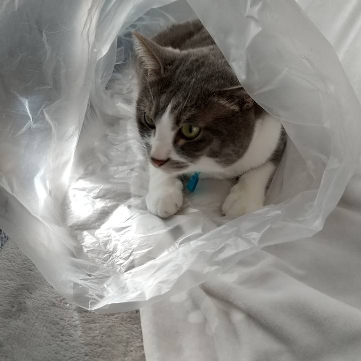 4227e633 3cf7 4587 8933 5797efd2f808 1645771477113