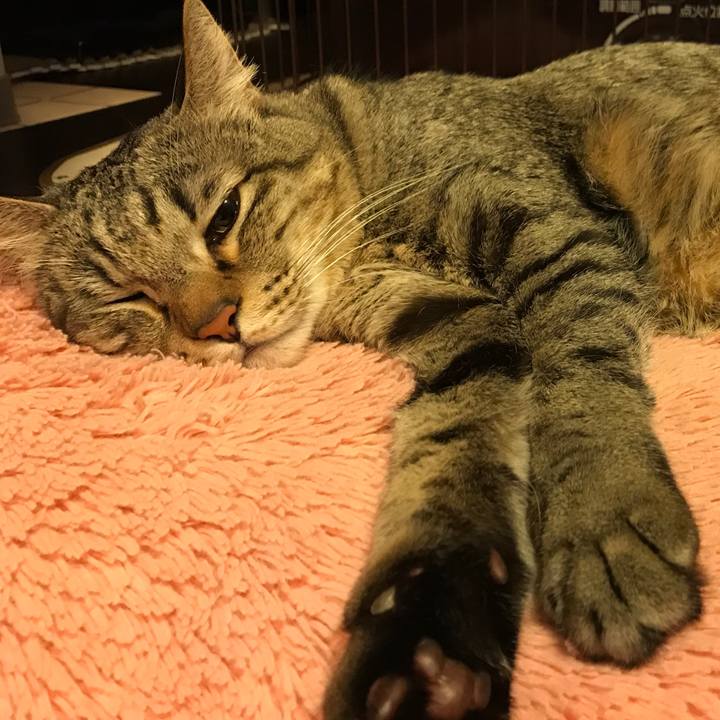 4227fd3b 50db 4294 b111 13a21e302538 1518949981158