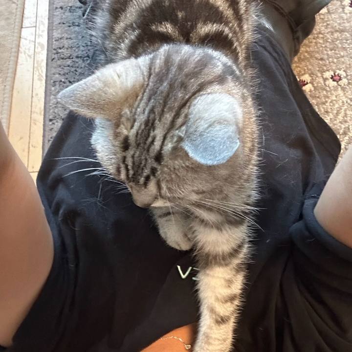 4227fdf1 93d1 47dd 9afe ac22e286de11 1753276982062