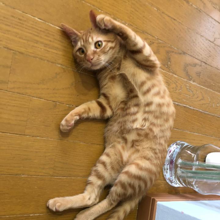 4228616d e846 4a34 8512 fcecdb1bf7c3 1519299737681