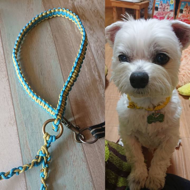 42289003 7ce3 4716 9652 8df2bcba485f 1612681850395