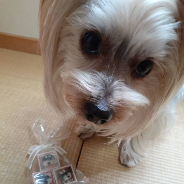 4228d626 5fc1 4fc8 934f 90493e15624b 1644812945504