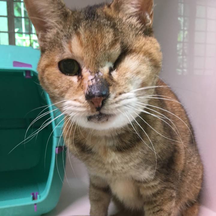 42290d67 b6de 435c ae7c 2e9726fedd73 1525333095738