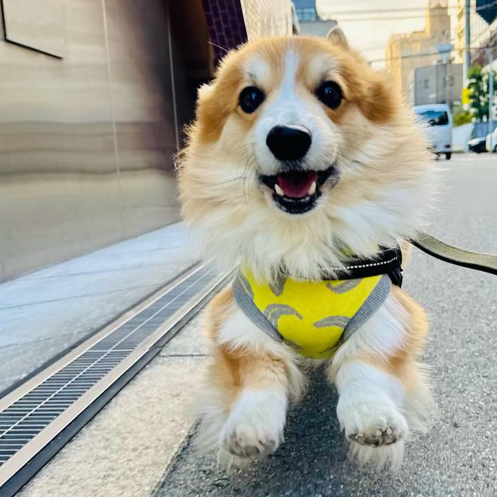 42292626 1870 4f2d 8483 3a4a52b83dba 1771372343662