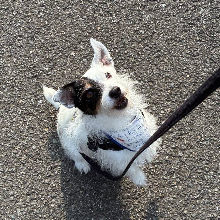 42294302 96e6 4fb5 9fc1 fb2fc285f301 1758150531928