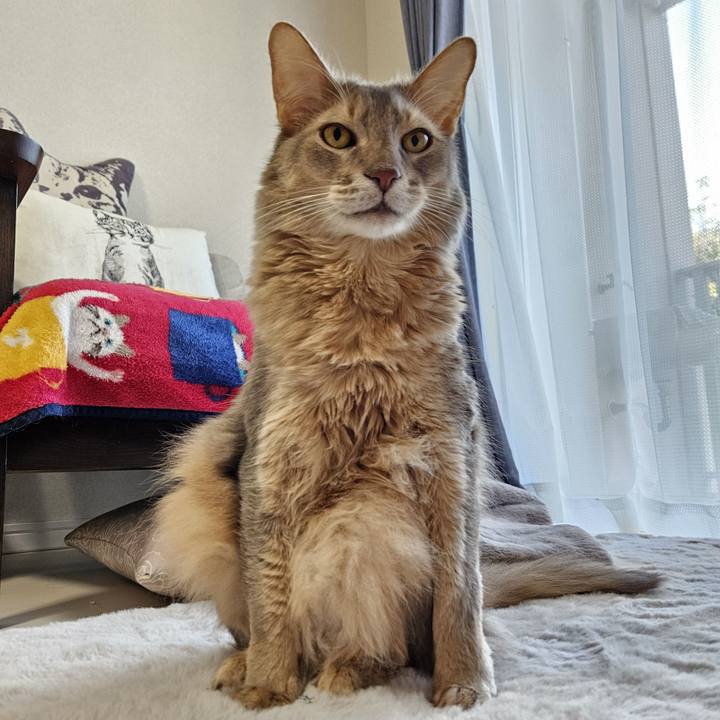 42294807 6e81 4eb4 a2f8 140675e34cff 1703577714171