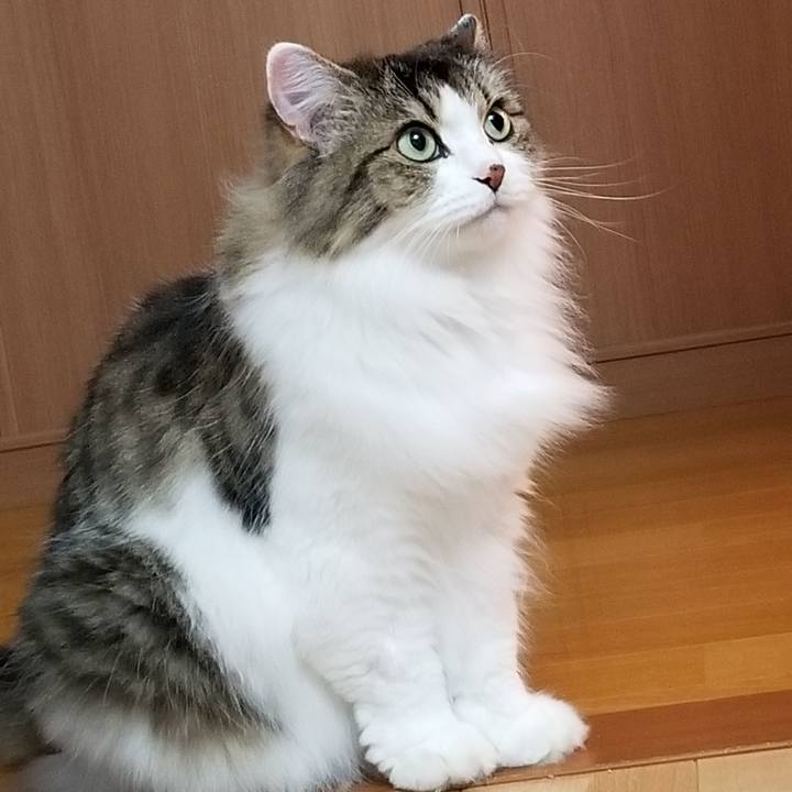 42295e37 2729 4a50 b55d f8edeb1d51be 1599226356361