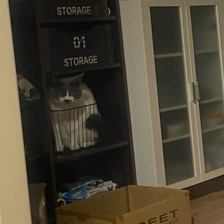 422963ce 517b 4676 99a9 1d1618cef7d1 1716652589828