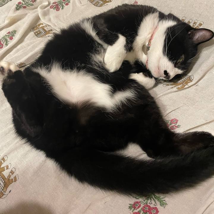 42299a66 7786 4e60 a009 82e7d3bb5250 1759483579936