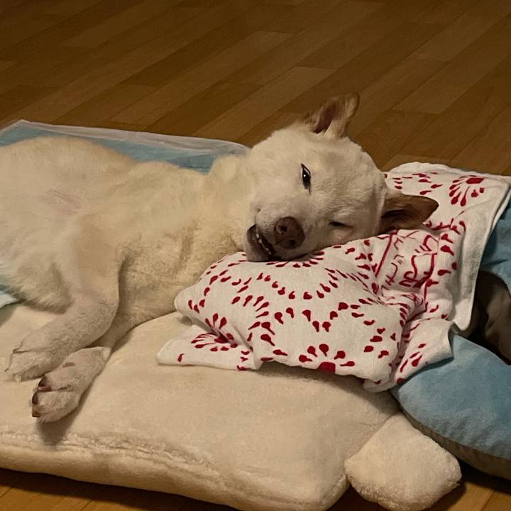 4229a593 5a5c 461c 893c 7cb34be8997e 1663515581701