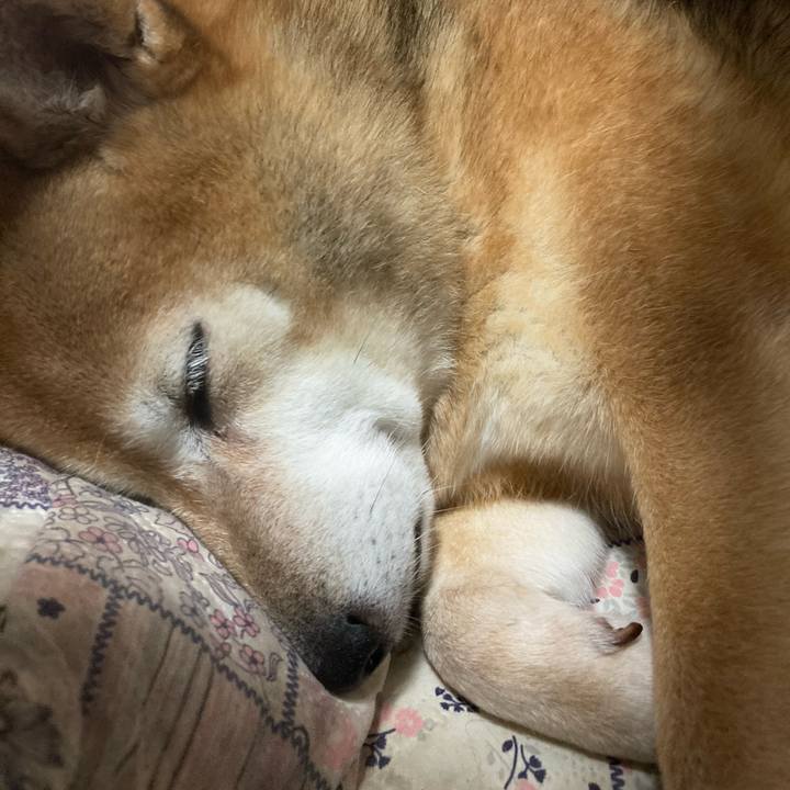 4229bc16 f5fc 481a 96d1 f64a229d61db 1665226569317