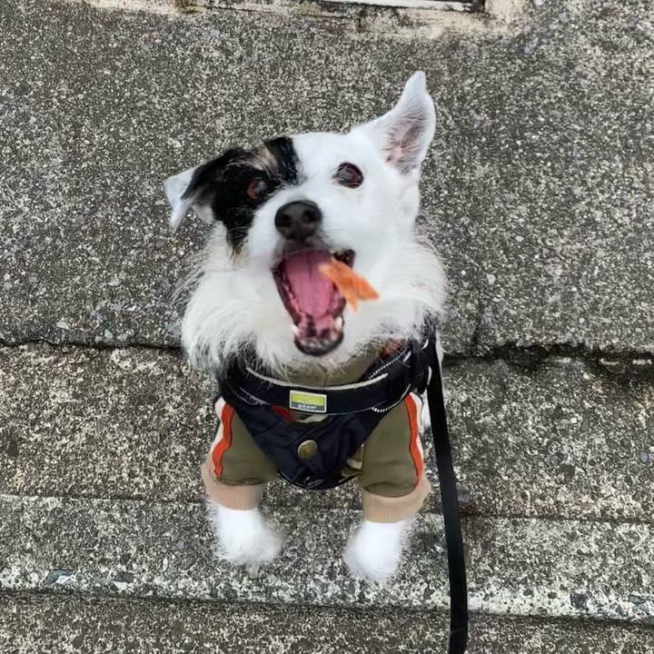 4229c8c8 8327 445c 91c8 d7b2729acd2b 1741047191551