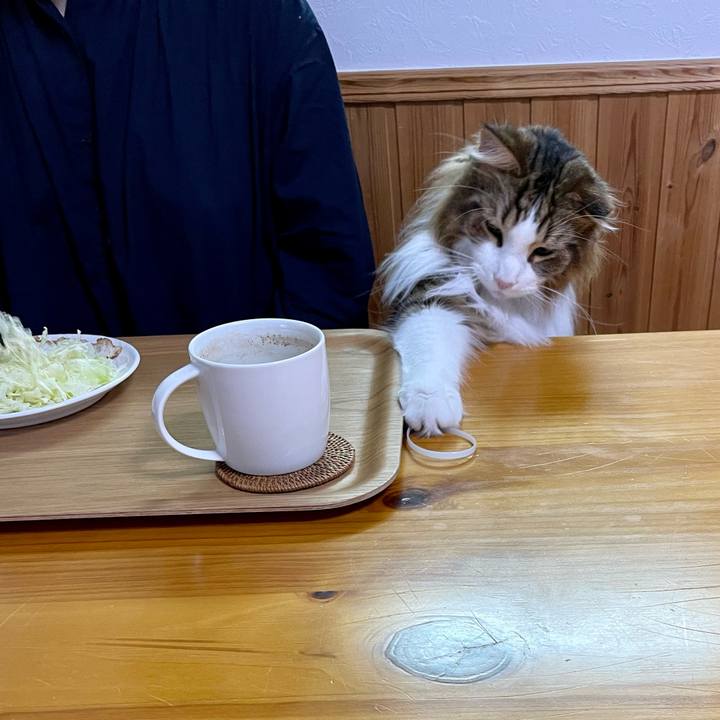 4229d9e5 fb19 4f6b ae72 a13dc4491788 1678743348089