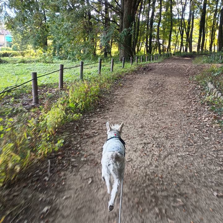 422a5365 1dae 4413 9505 1efebd621697 1761741718030