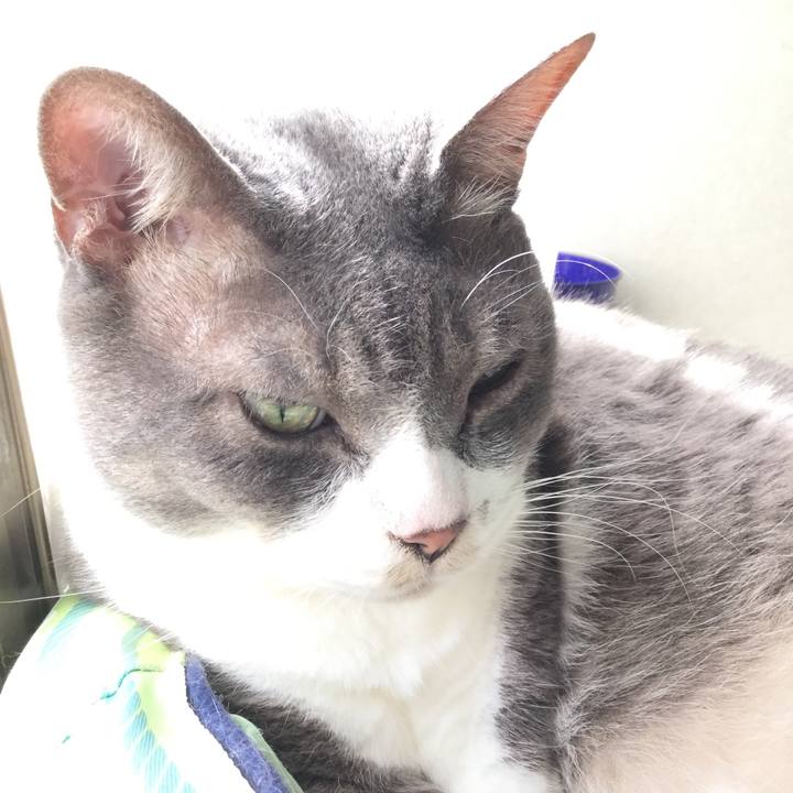 422a69db 5d9e 4cdb 9740 88dfa96868e6 1589092285314