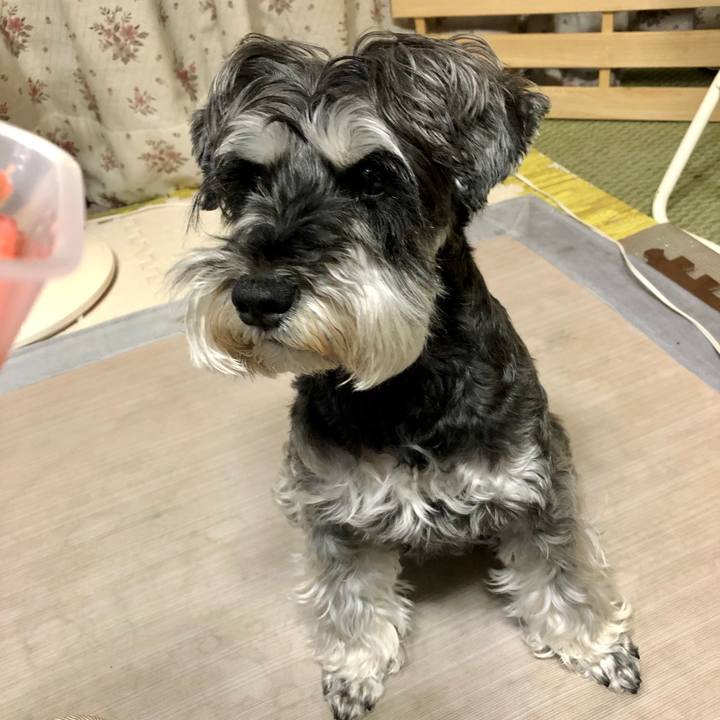 422a7a4d 7adc 4875 960b b58bafe55686 1655336818589