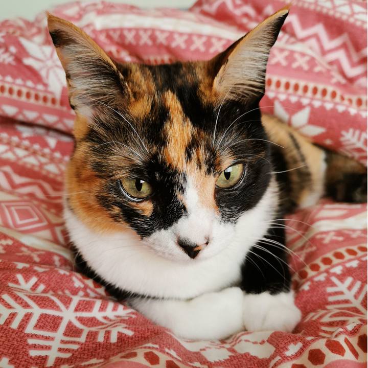 422a7b9a 2b91 4d81 8d84 2f91943410fc 1646107067188