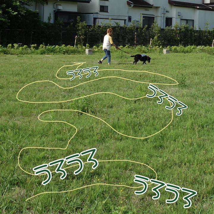 422a8f78 44bc 473e b543 fb0d02e84893 1747704408373