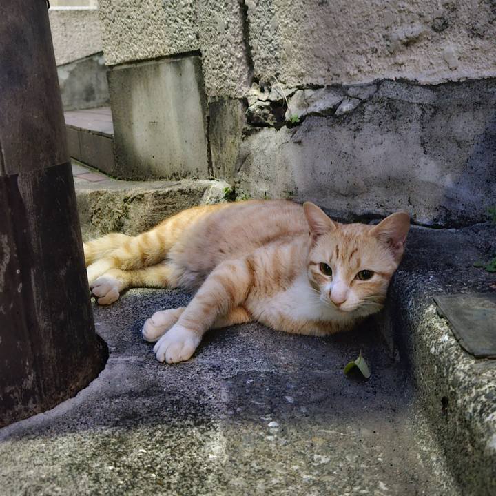 422a9514 9ebb 47ef 9c94 570d9b30110e 1714137953225