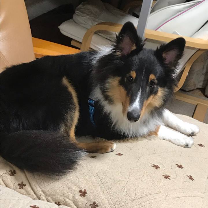 422a98fb 417c 433e bc6f d0eb2a771830 1541022851523