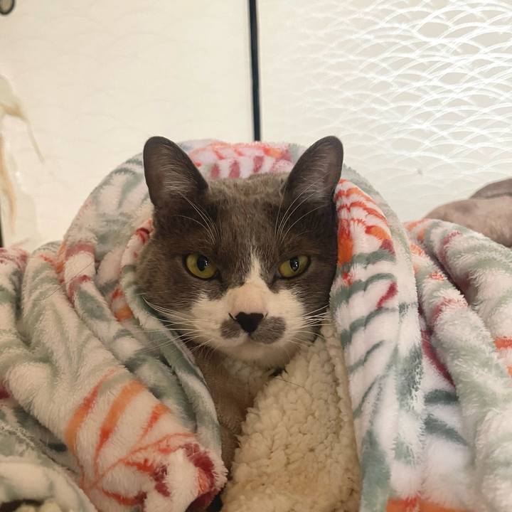 422b0851 7201 4816 b084 38edf73d73e9 1708820045568