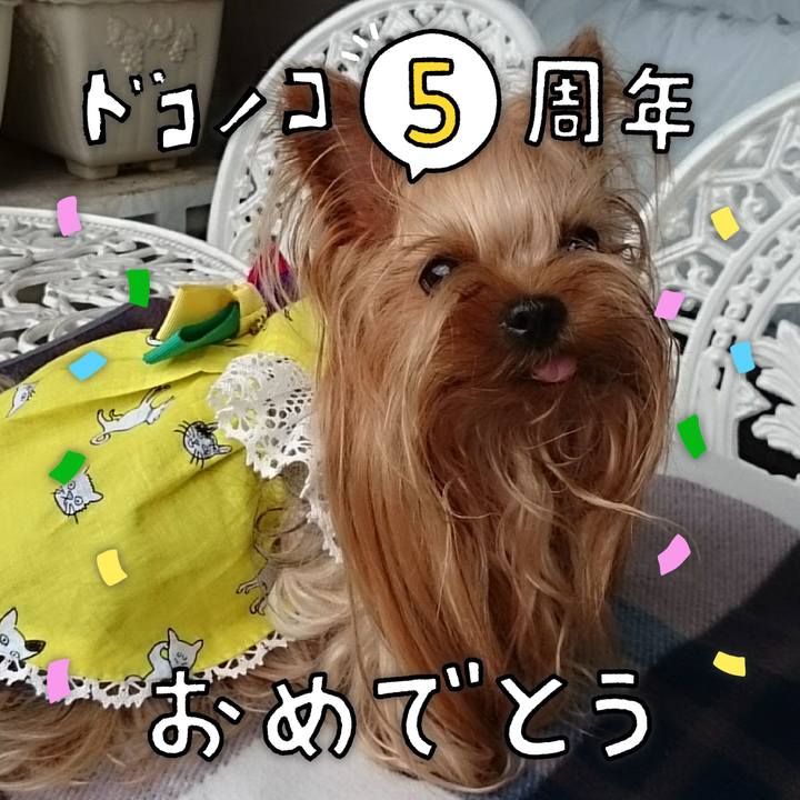 422b0e8e 3905 40fb bdcd 80730d6e8f3b 1622856816552