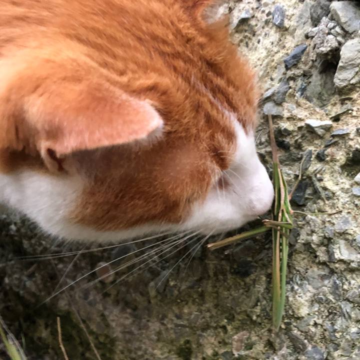 422b3243 8a3d 4802 8ca5 4acde945ffab 1564739323380