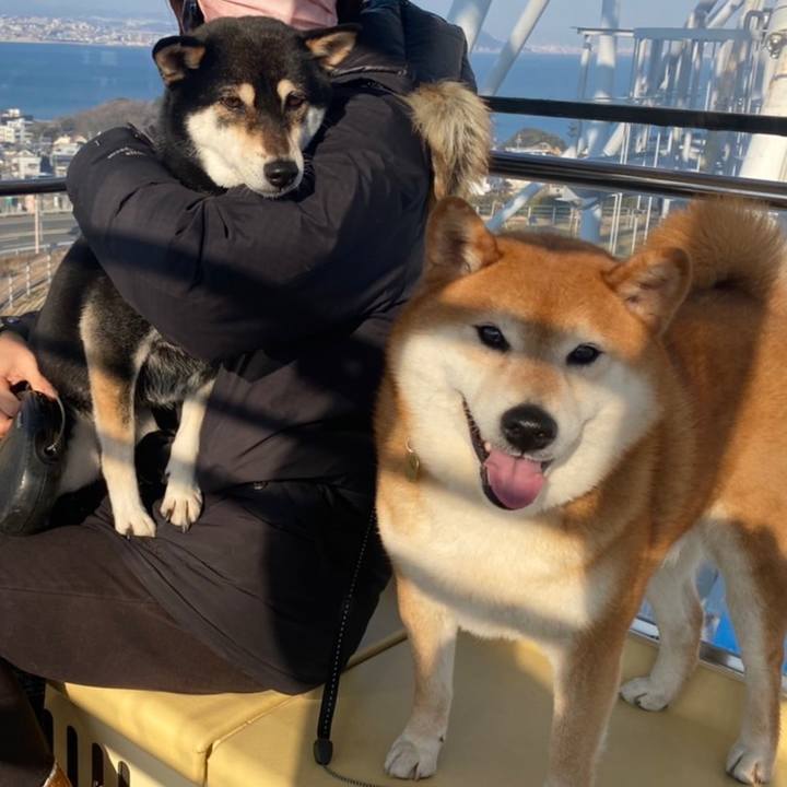 422b6082 31bb 4836 ae28 18f6aabbce10 1645917419715