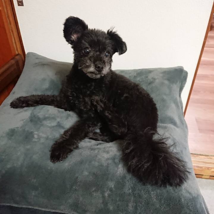 422bb2e4 b6ad 4814 a676 e590721399b3 1571733194221