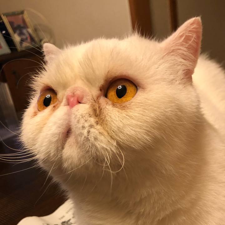 422be776 dcc6 4922 bc5f 1b87501948fc 1664279416542