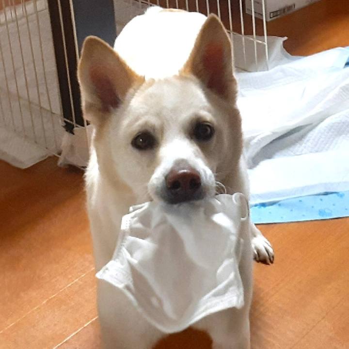 422bf9b2 ce52 4827 bad9 ba6b9c930c77 1646824089693