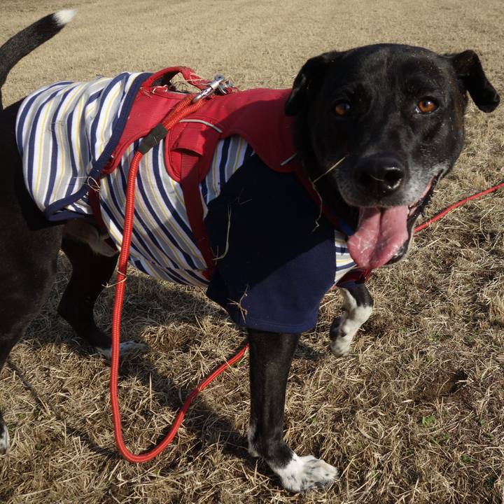 422c2b36 403e 4aa6 93c4 abddc6d530b1 1678236902999