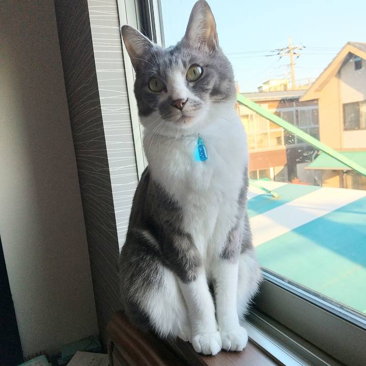 422c333c 4904 499f 9f38 ce8d4f3f46ac 1613864937999