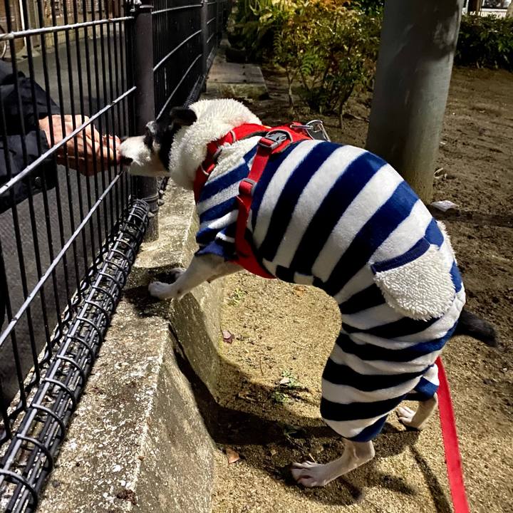 422c3ee4 8987 4a37 b45f 6de3e7f29d50 1612130590358