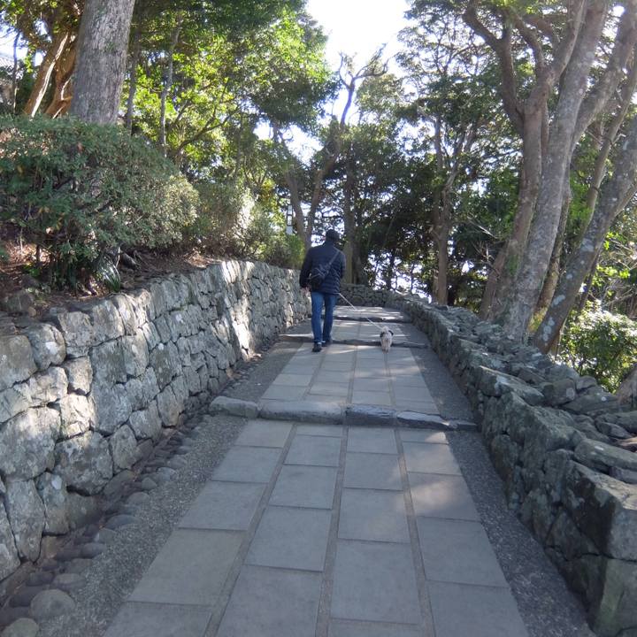 422cae86 620c 40a9 a2b7 fc8ebc42b957 1515247446207