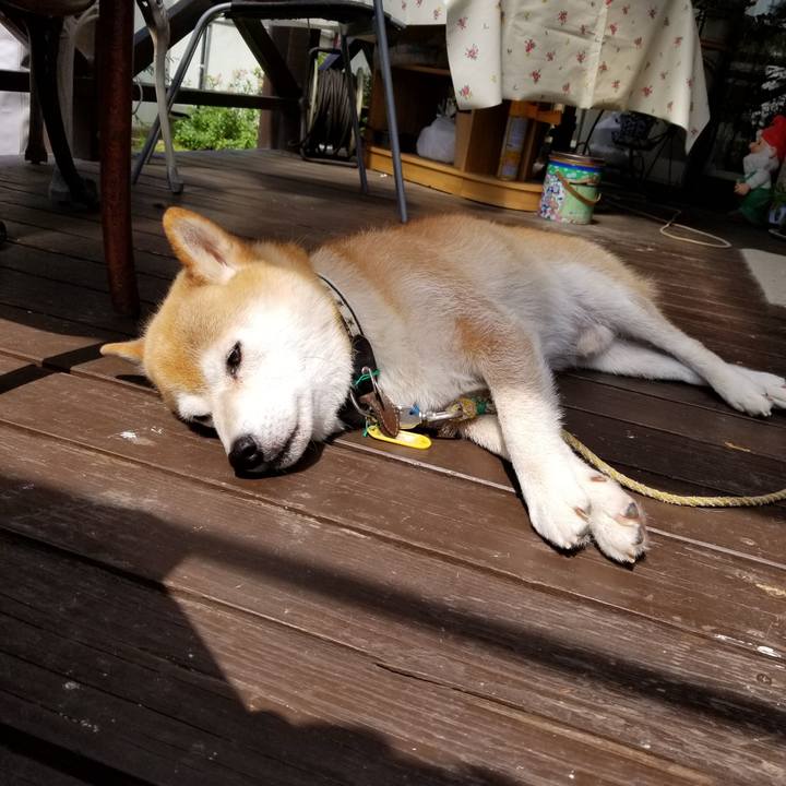 422cdeb7 6913 4197 aa1a 2b642cc376b6 1595205672113