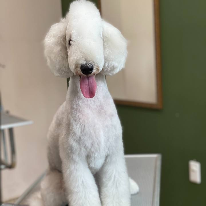 422ce26f 5aed 4652 88aa ce1f86fb9499 1601507603944