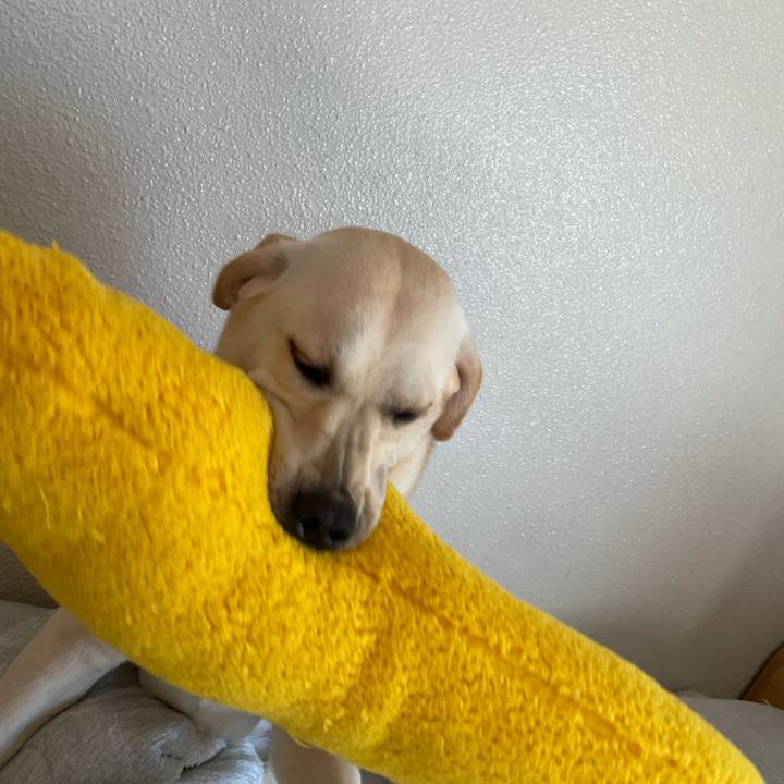 422d11fc 50df 4e71 8338 f889bc598d91 1634079280335