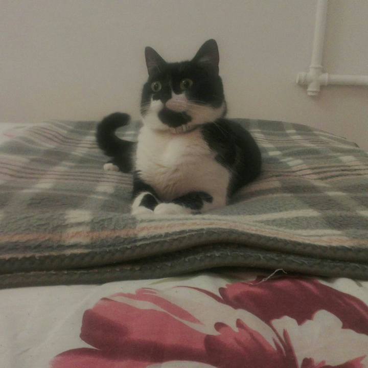 422d16c7 043b 45ab 88fe 7945f463adc6 1509807810596