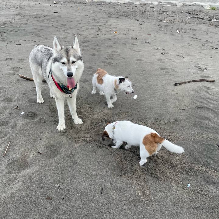 422d46af 25c2 4b28 8c51 90b695c6e93b 1724631547917