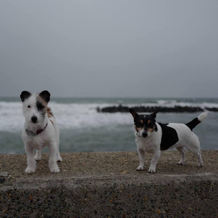 422d4d2d 47b5 46c5 ac3e d7977ffedc30 1676696090701