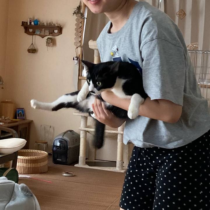 422d4fb3 c079 4a27 8800 60ce080a065e 1691680414699