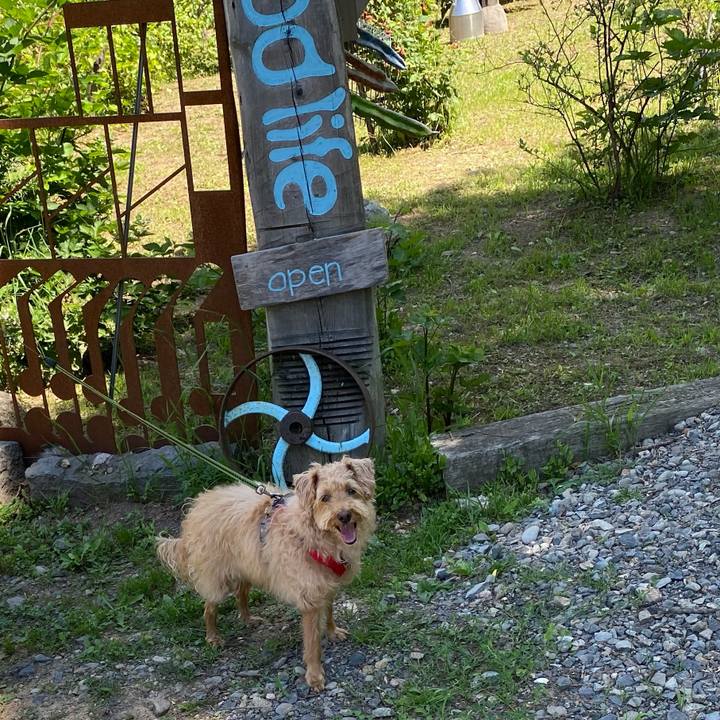 422d5dd1 fc05 4c4a bbbc 51b7e7eb7fc6 1657252221794