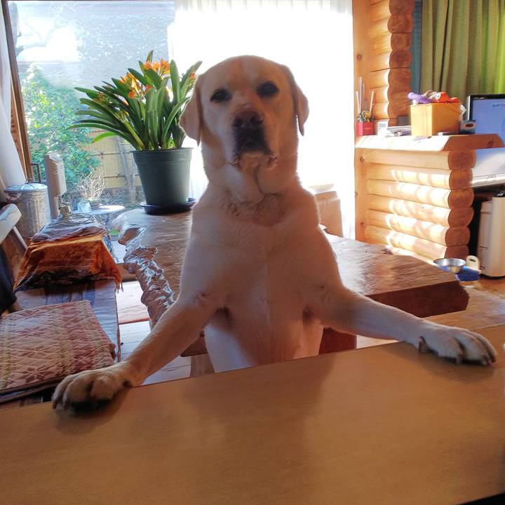 422d6e76 a8c0 4cbe 8866 7a6641fae252 1551486614730