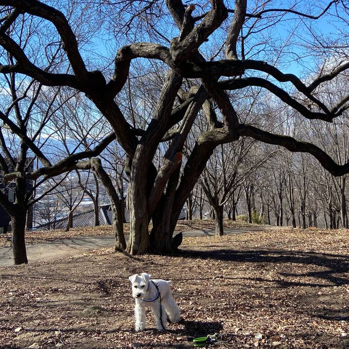 422d9f24 06b7 4bd2 a102 1834ef2c3673 1770044300214