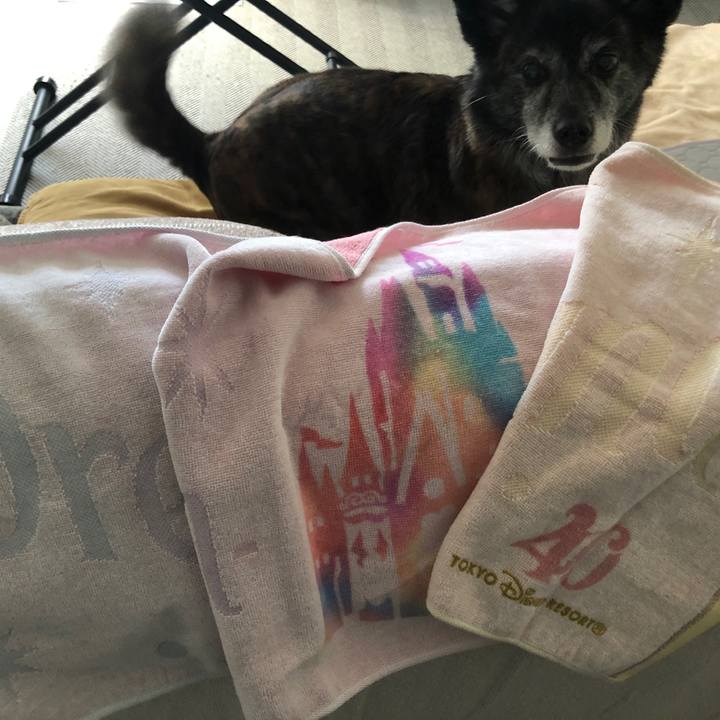 422db27b dc73 4d26 9be2 a4f754be496d 1692571622603